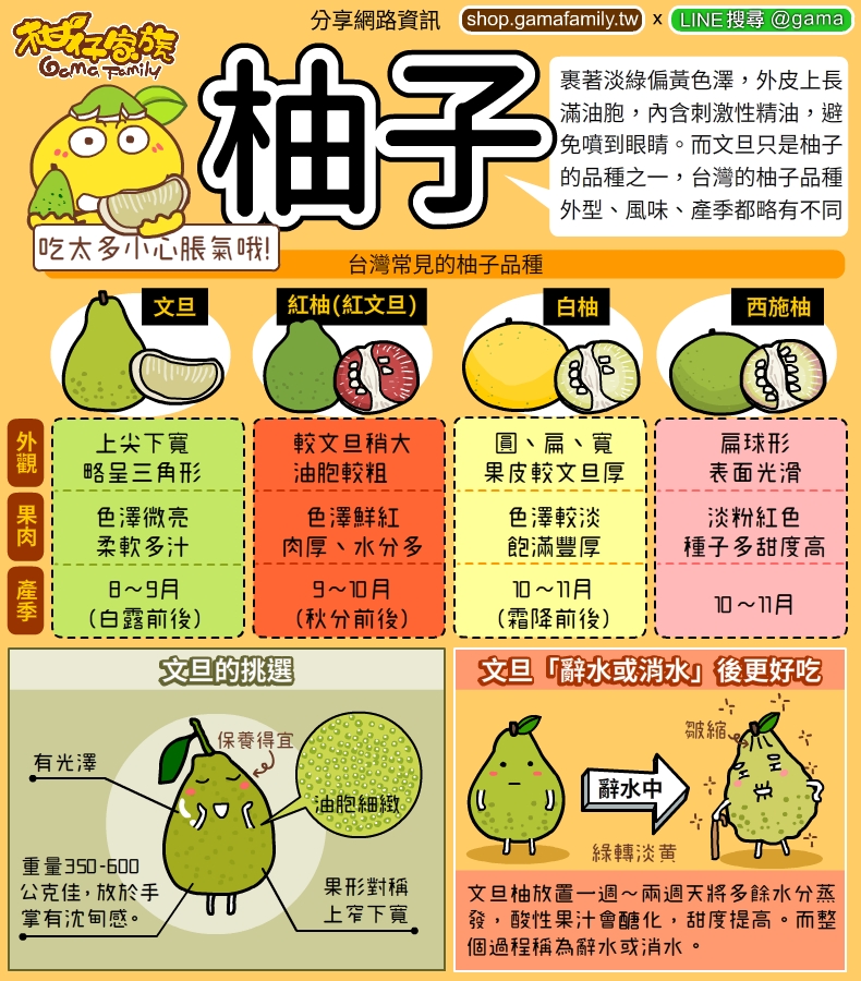 台灣常見的柚子品種介紹及柚子怎麼挑